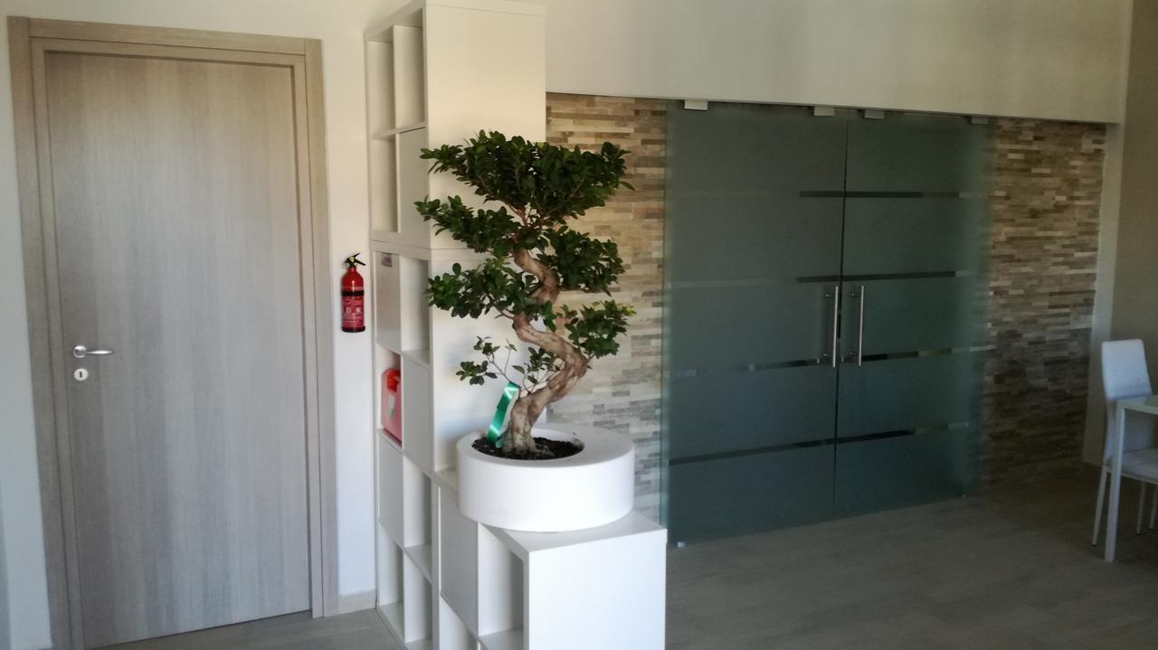 Bed & Breakfast Bonsai