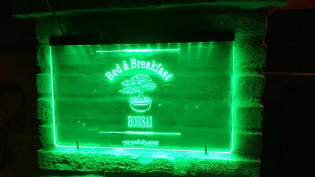 Bed & Breakfast Bonsai *